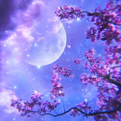 Cover of Lonely Nights