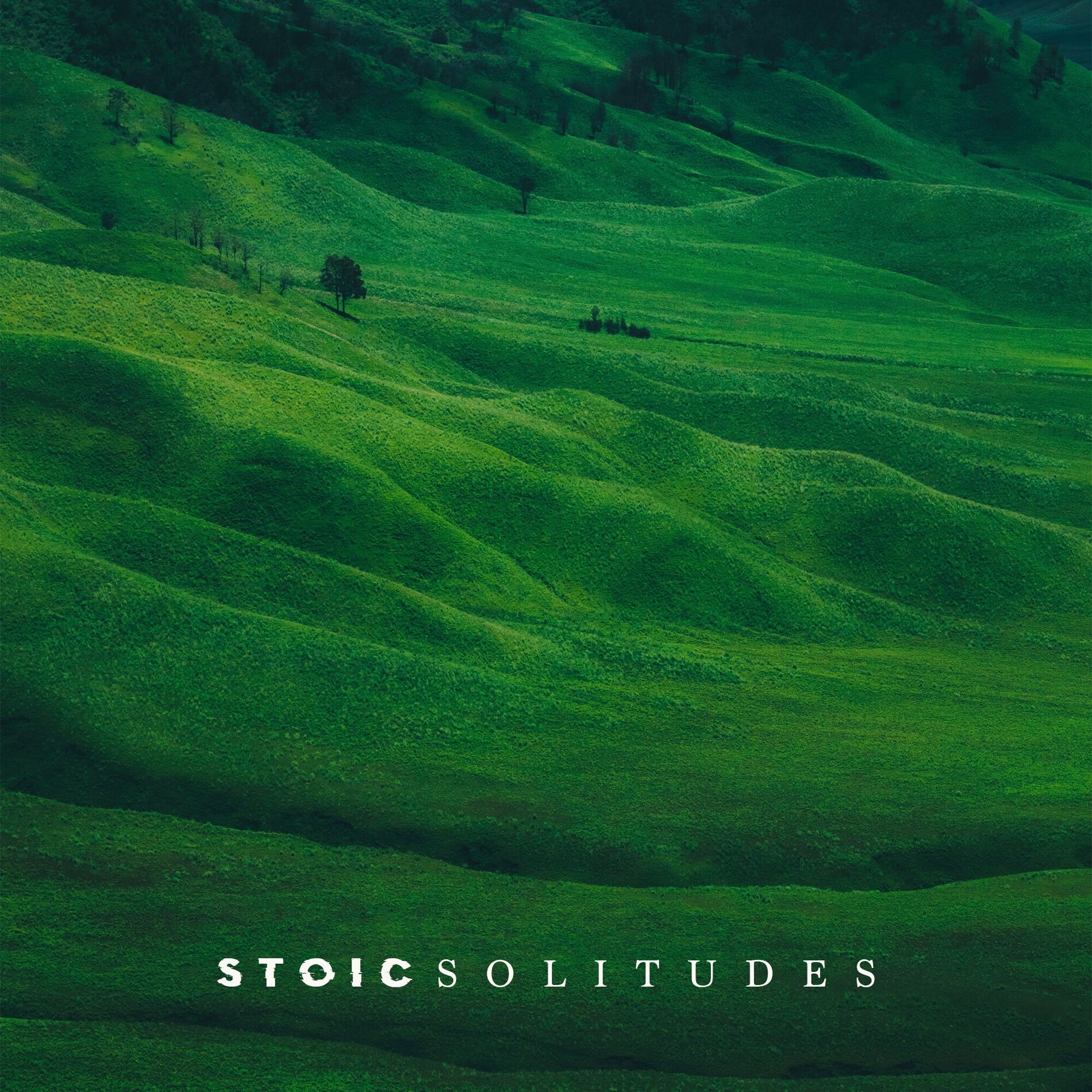 Album cover of Stoic
