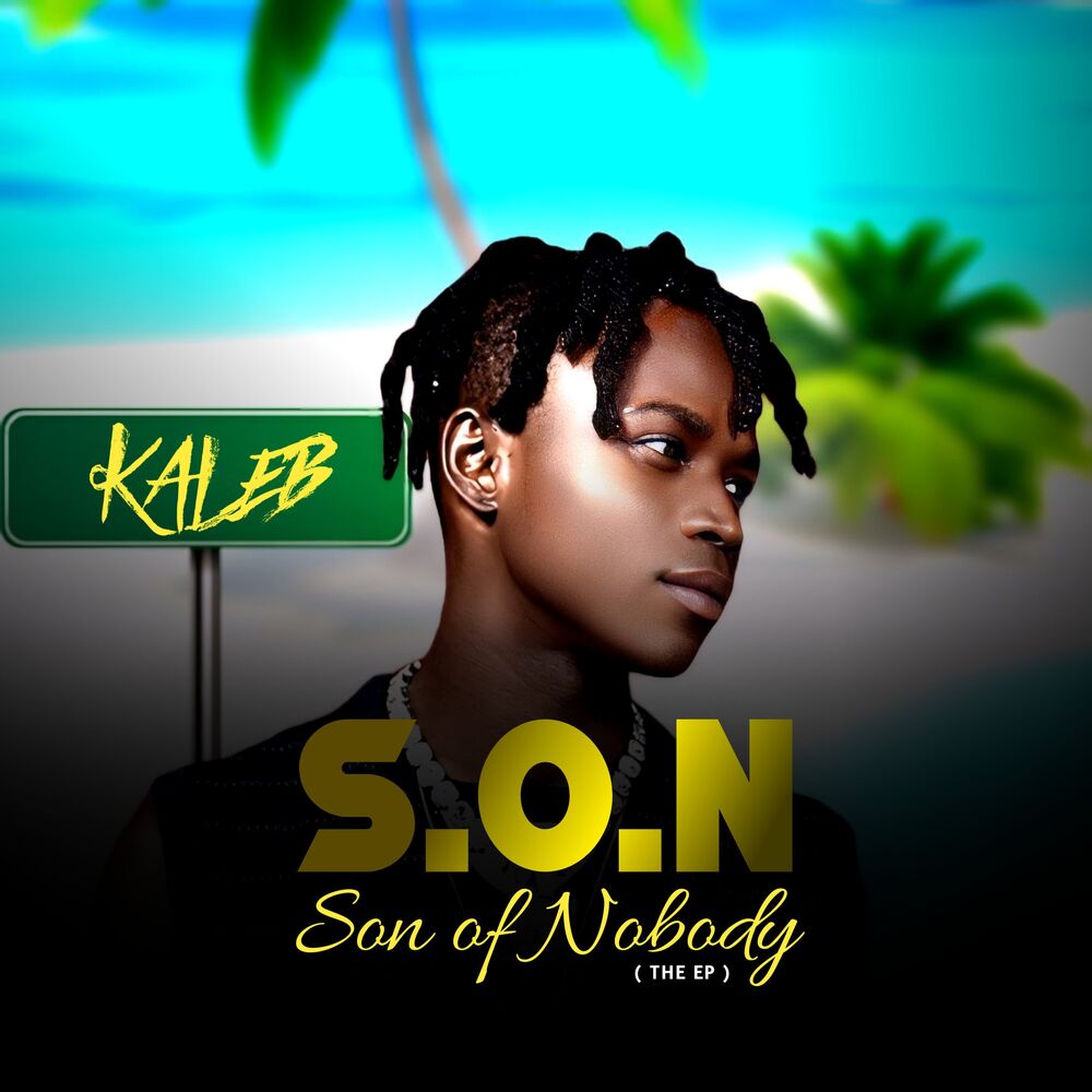 Picture of S.O.N (Son Of Nobody)