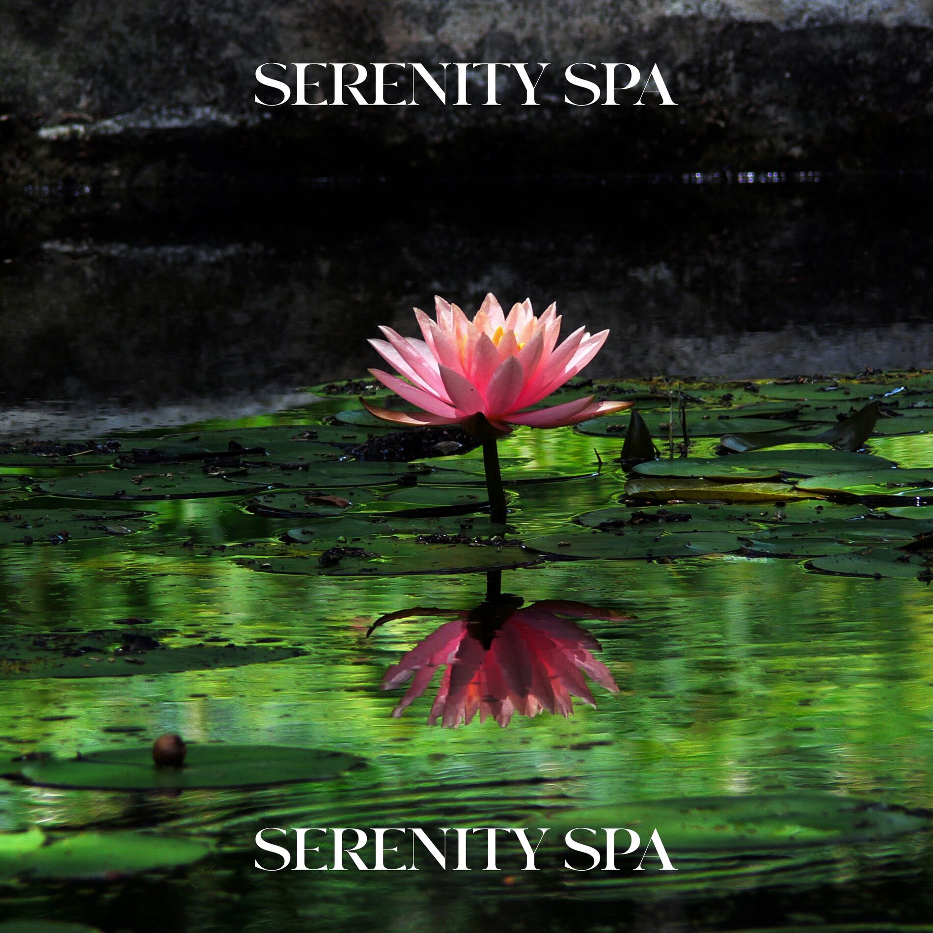 Album cover of Serenity Spa - Zen Reiki Meditation Music, Relaxation Therapy Music for Massage, Yoga, Sleep and Study, Healing Nature Sounds