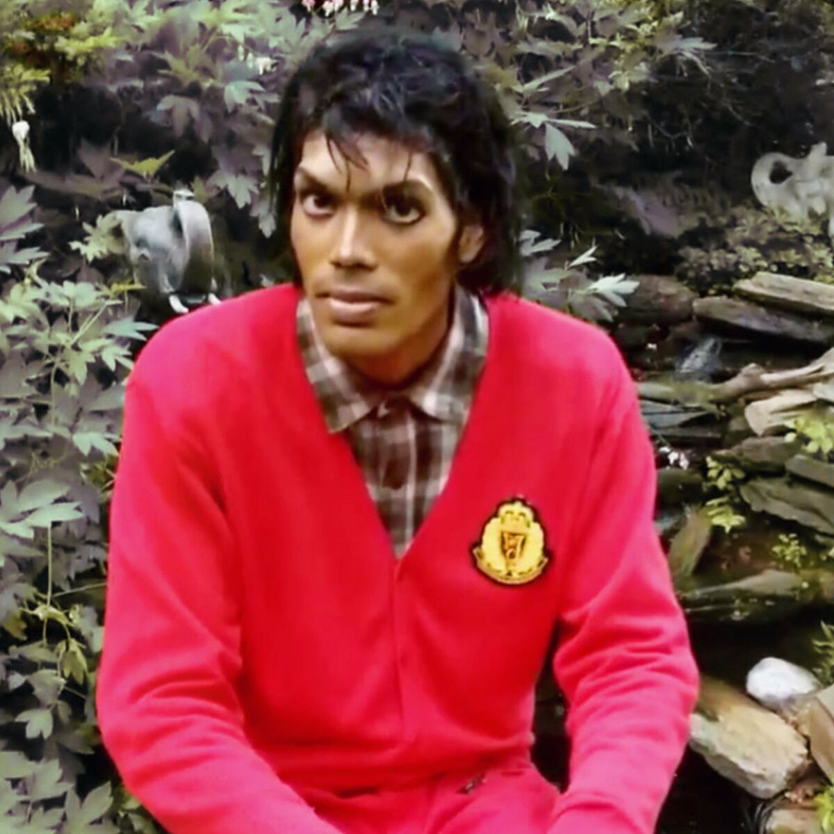 Album cover of I'm Not the One