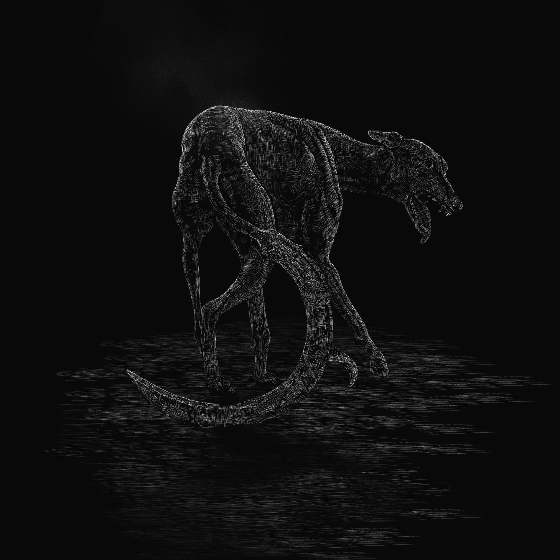 Album cover of Bring Down The Flags