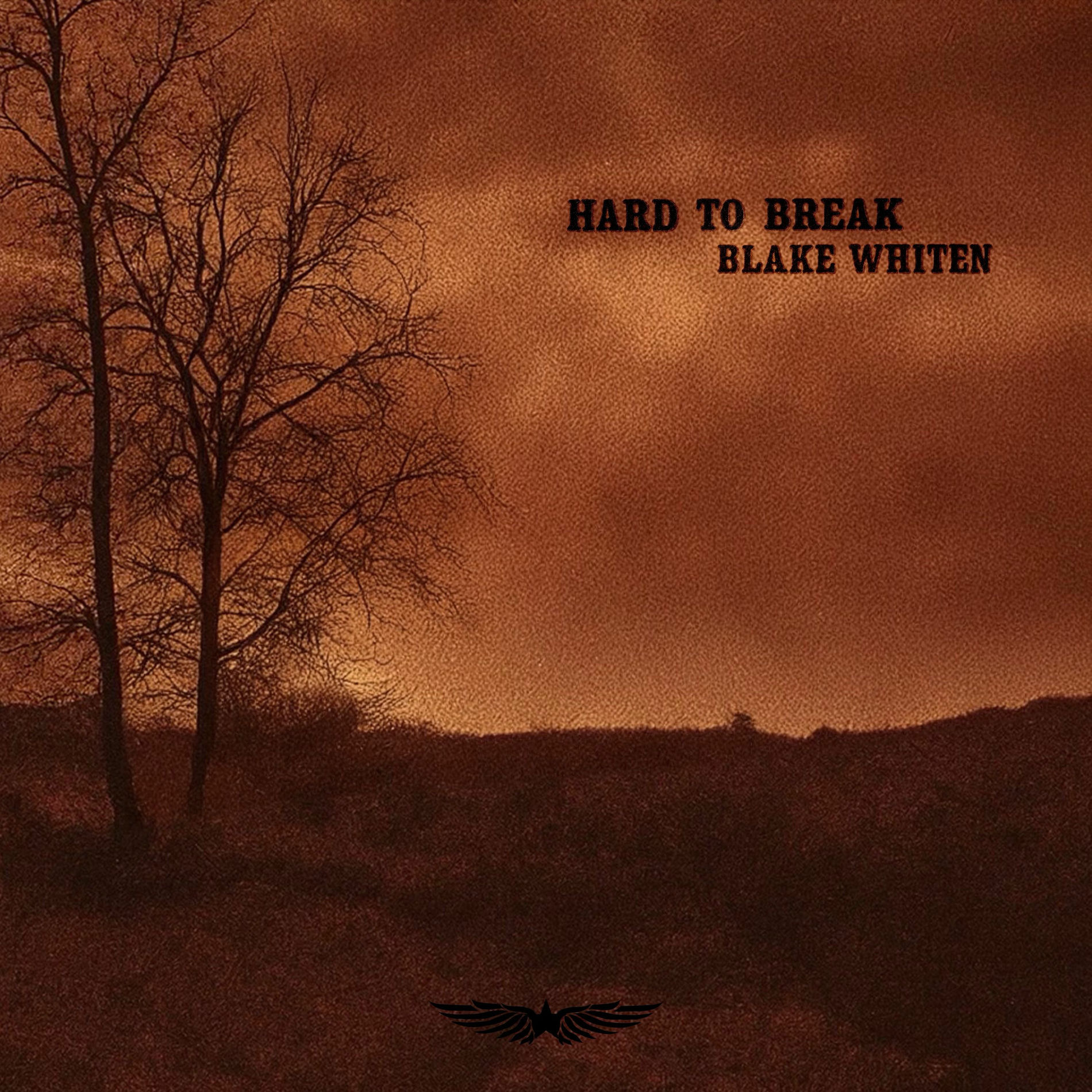 Album cover of Hard to Break