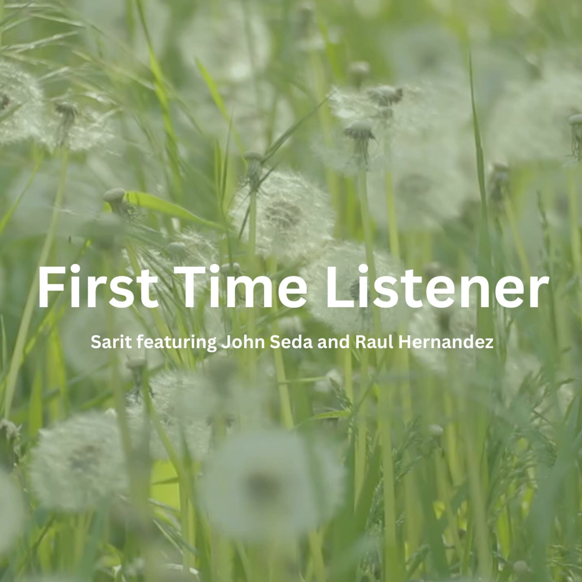 Album cover of First Time Listener (feat. John Seda & Raul Hernandez) [Summer Version]