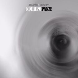Cover of Ndiripo Panze