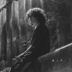 Cover of R. I. P.