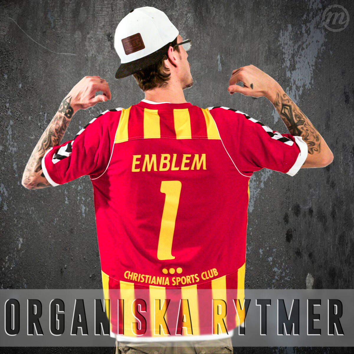 Album cover of Organiska Rytmer