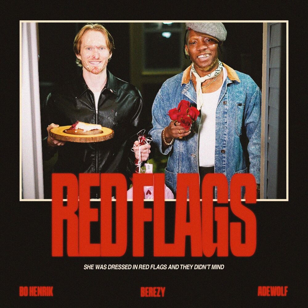Picture of Red Flags