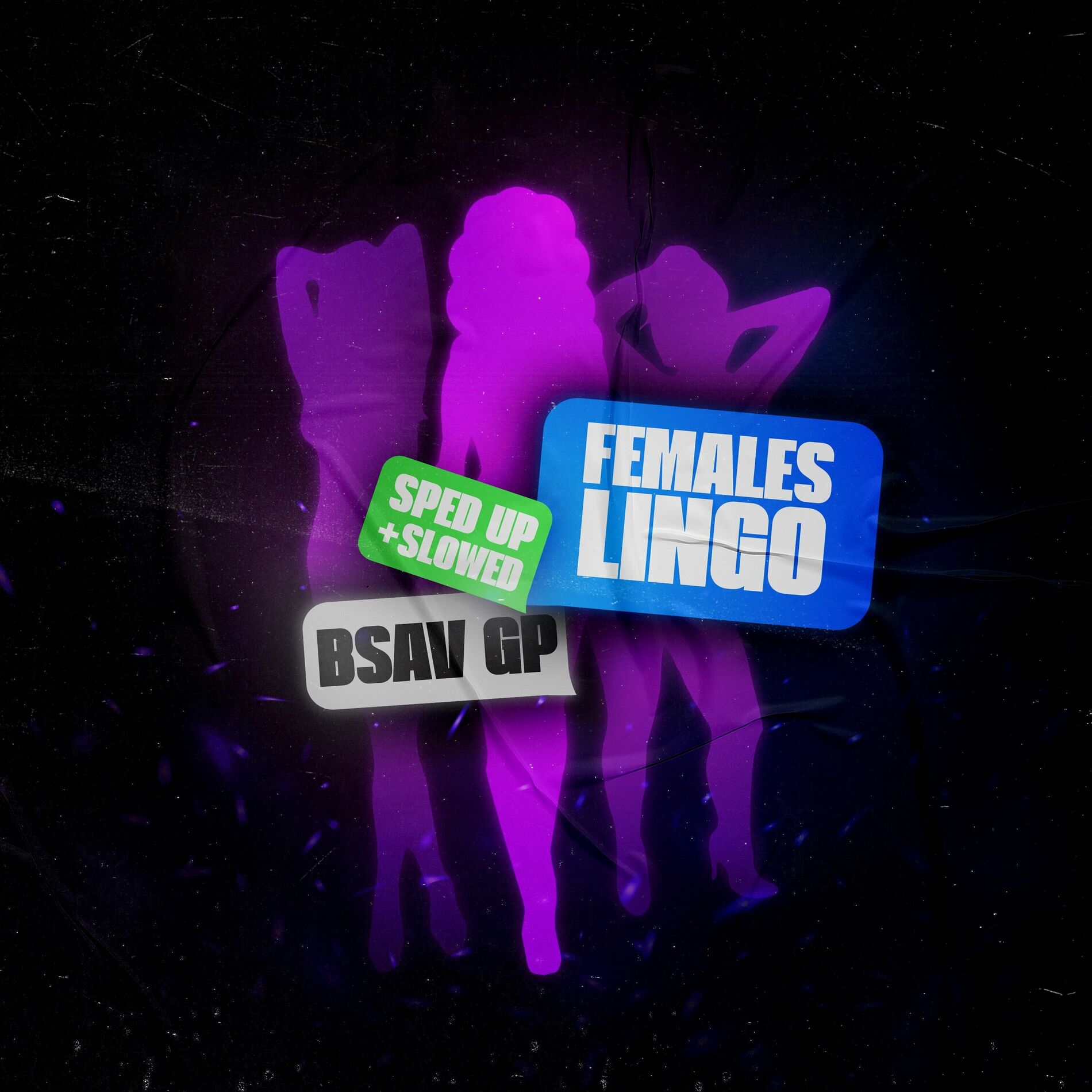 Album cover of Females Lingo