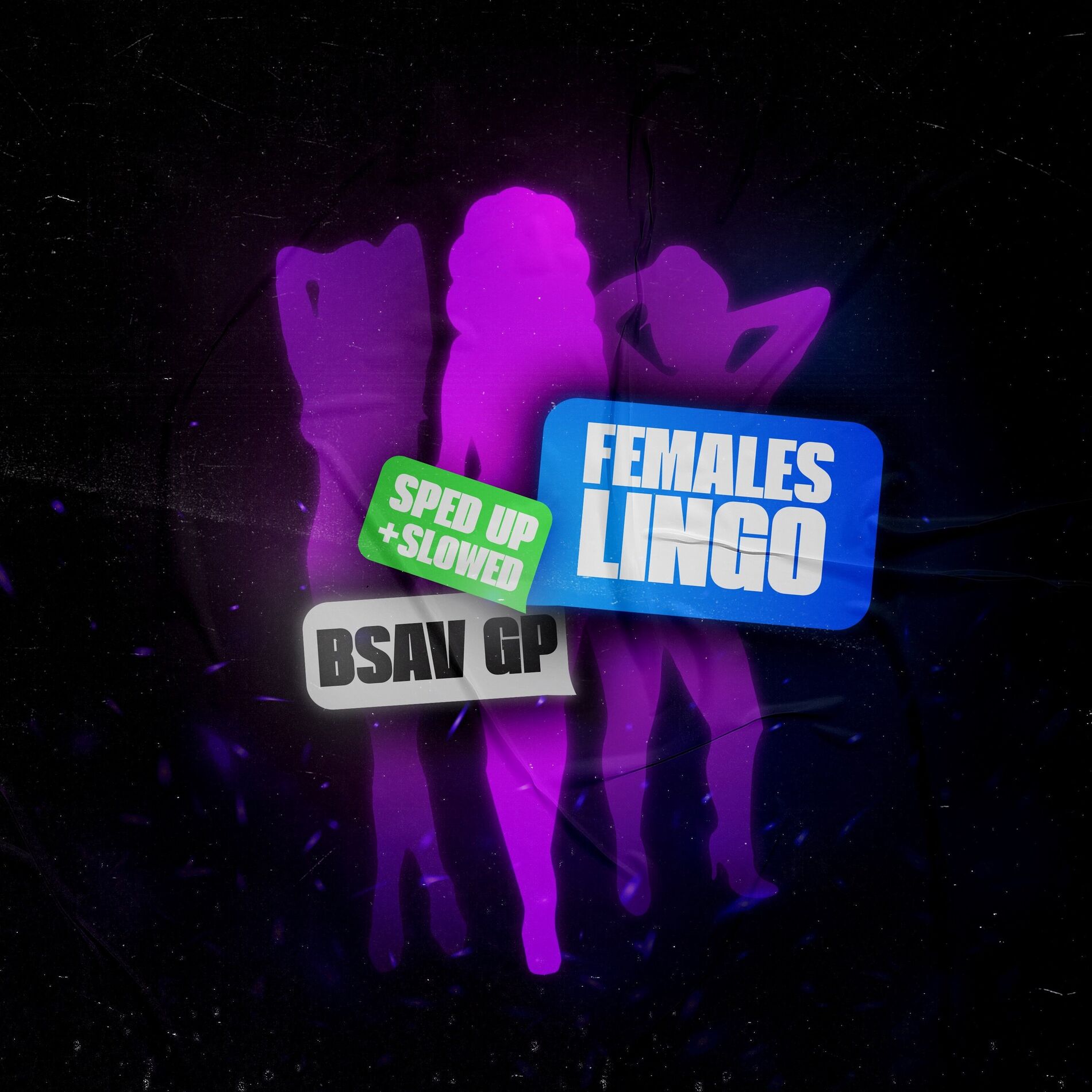 Album cover of Females Lingo