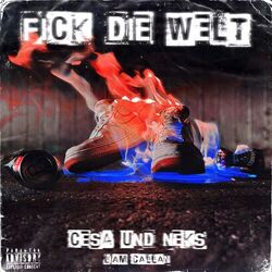 Cover of Fick die Welt
