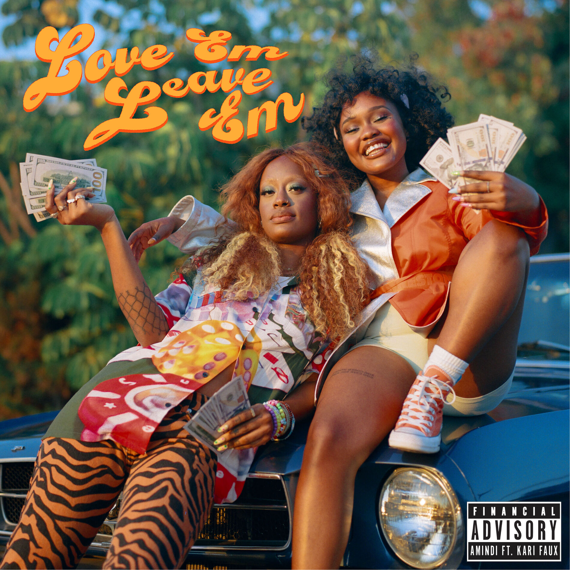 Album cover of Love Em Leave Em