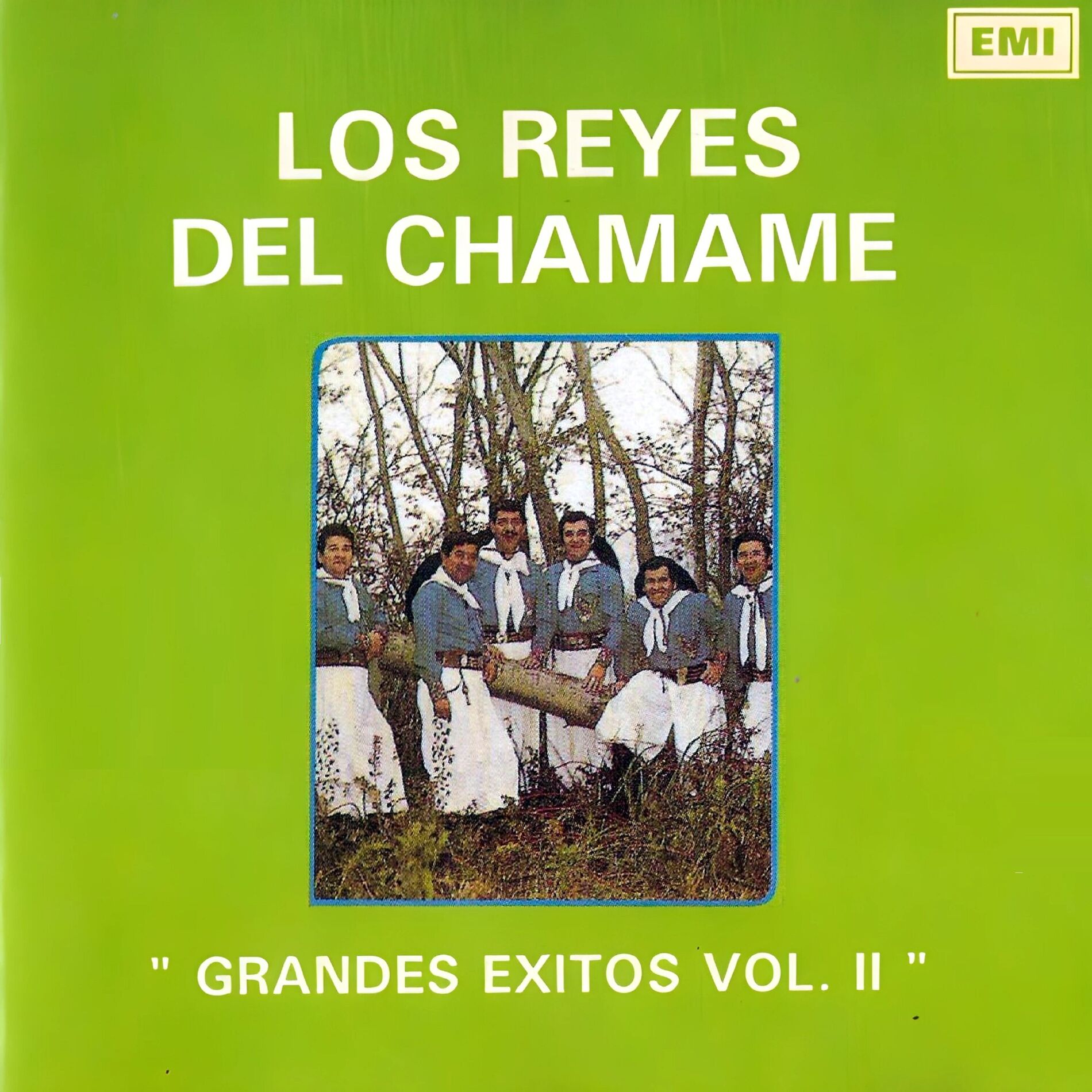 Album cover of Grandes Éxitos, Vol.2