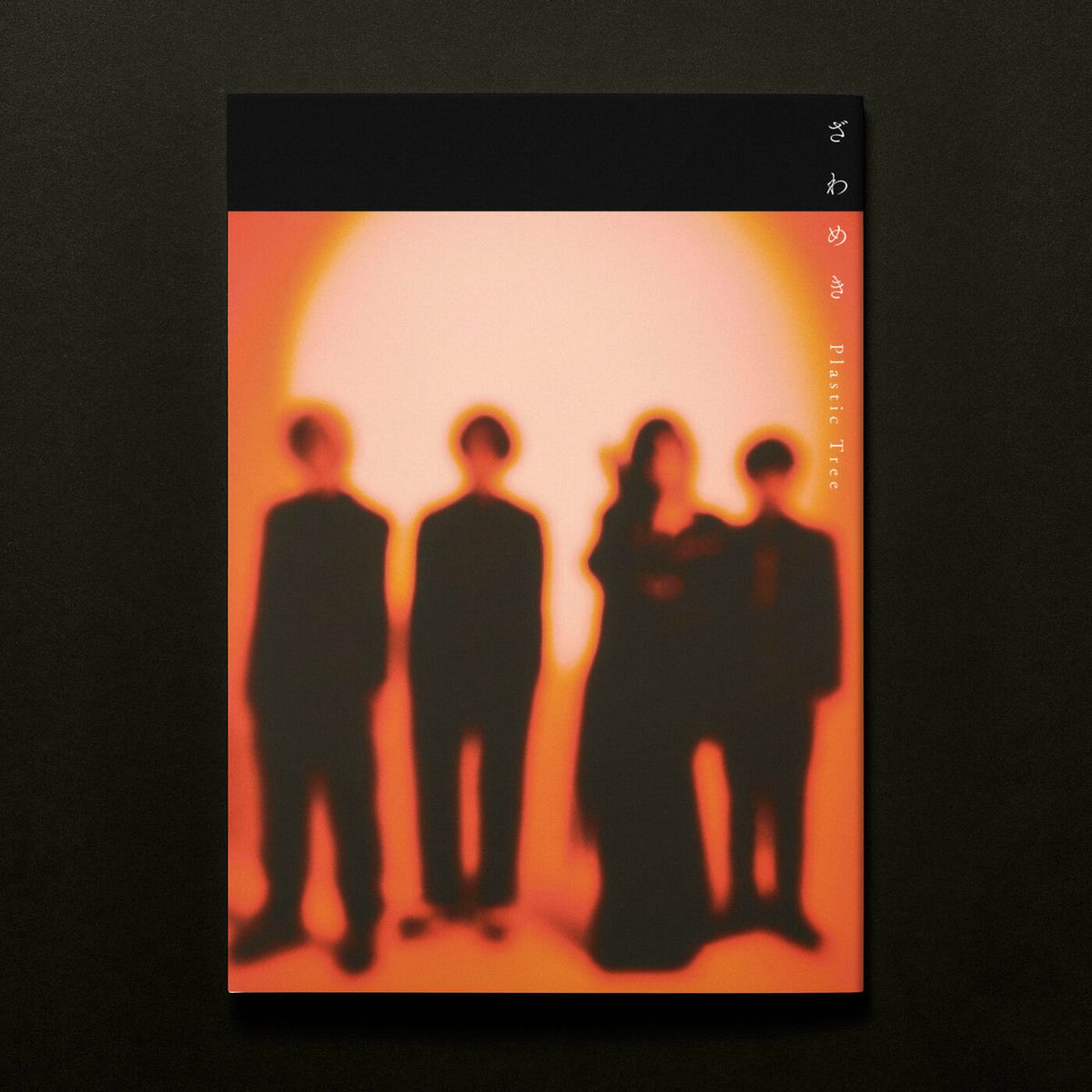 Plastic Tree: albümler, şarkılar, konserler | Deezer