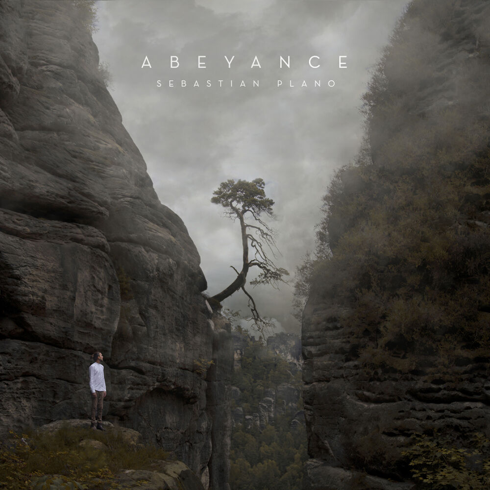 Picture of Abeyance