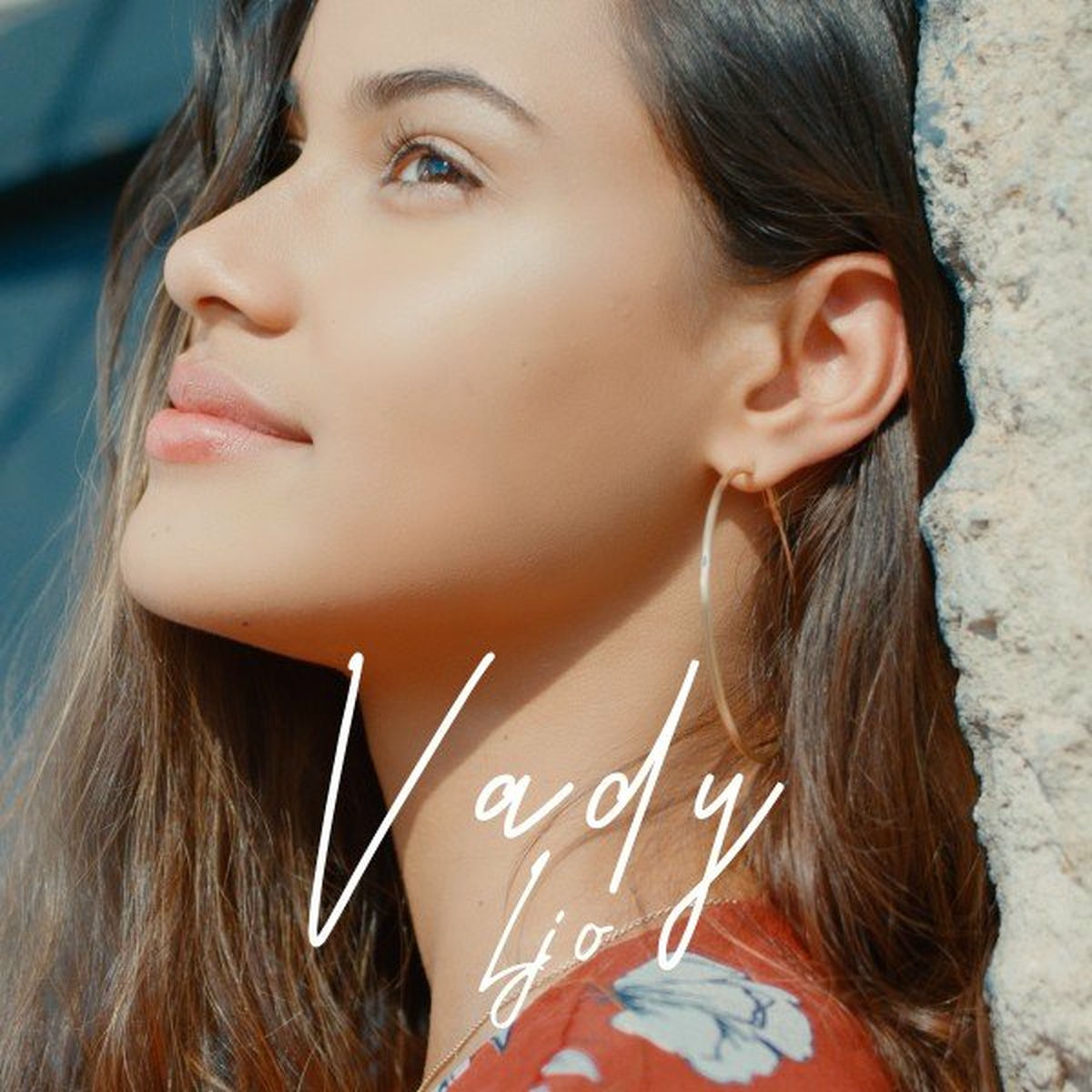 Album cover of Vady
