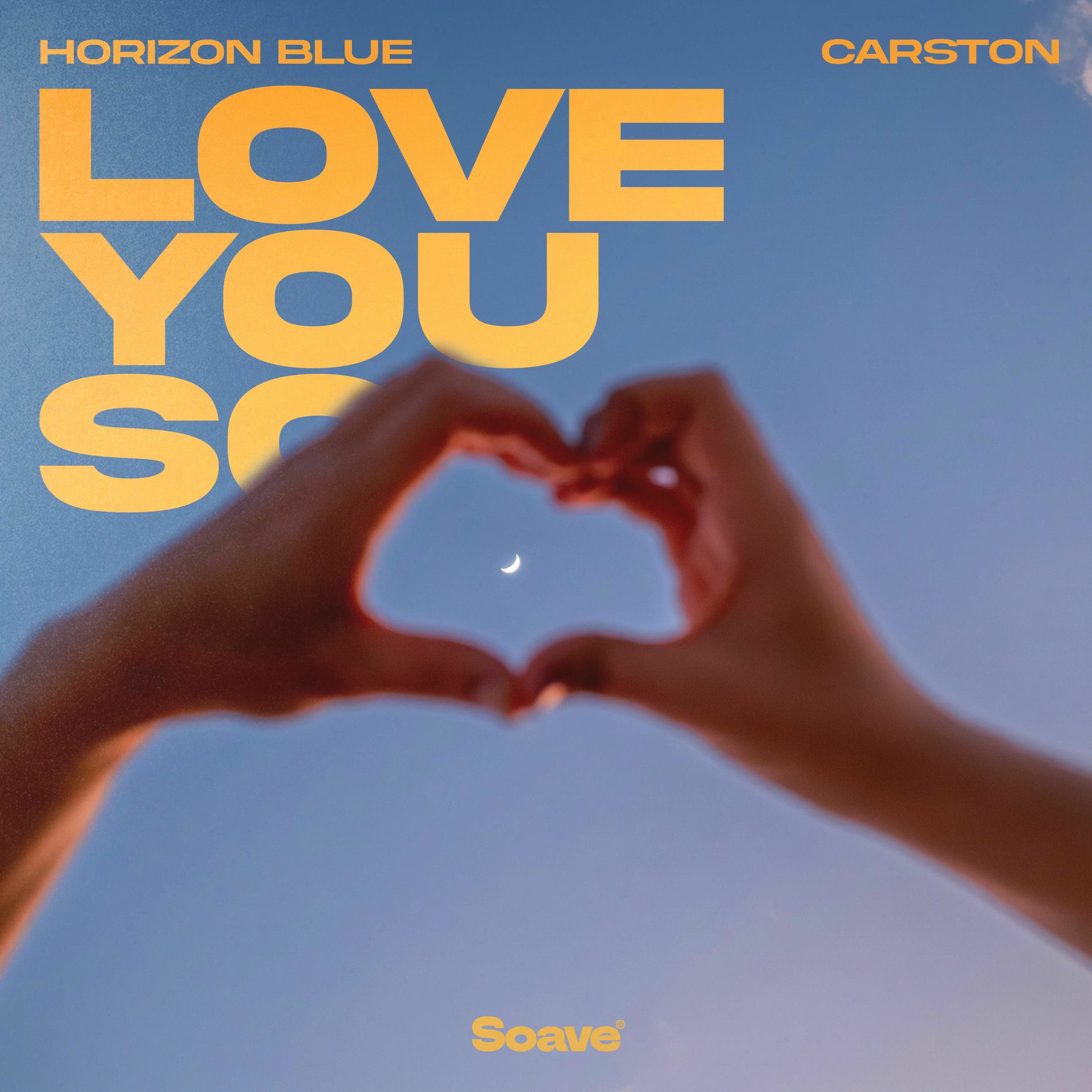 Album cover of Love You So
