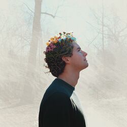 Cover of Wide Eyes