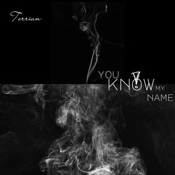 Cover of You Know My Name
