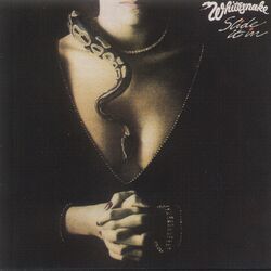Cover of Slide It In
