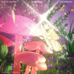 Cover of Over Now