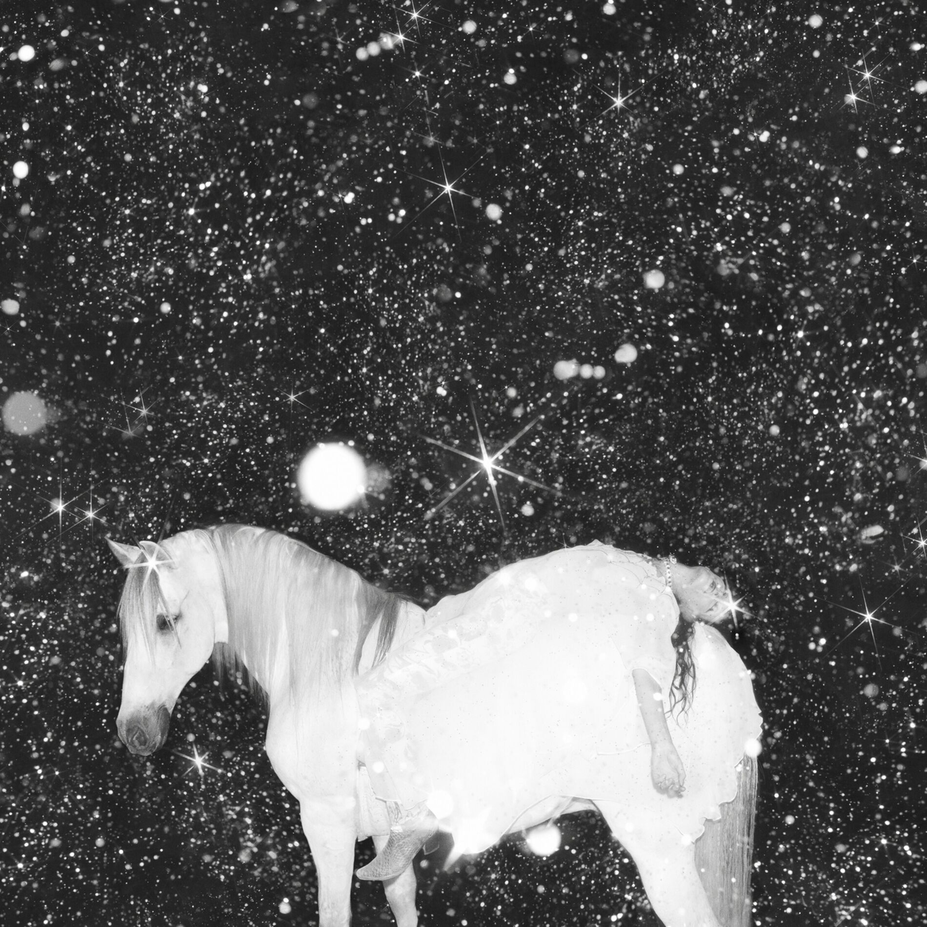 Album cover of Apocalypse Love