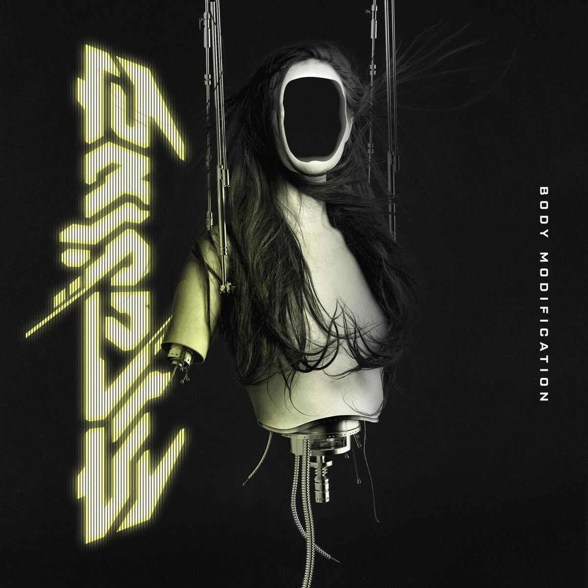 Album cover of Body Modification