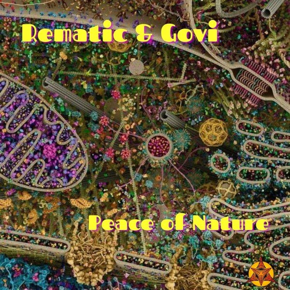 Album cover of Peace of Nature