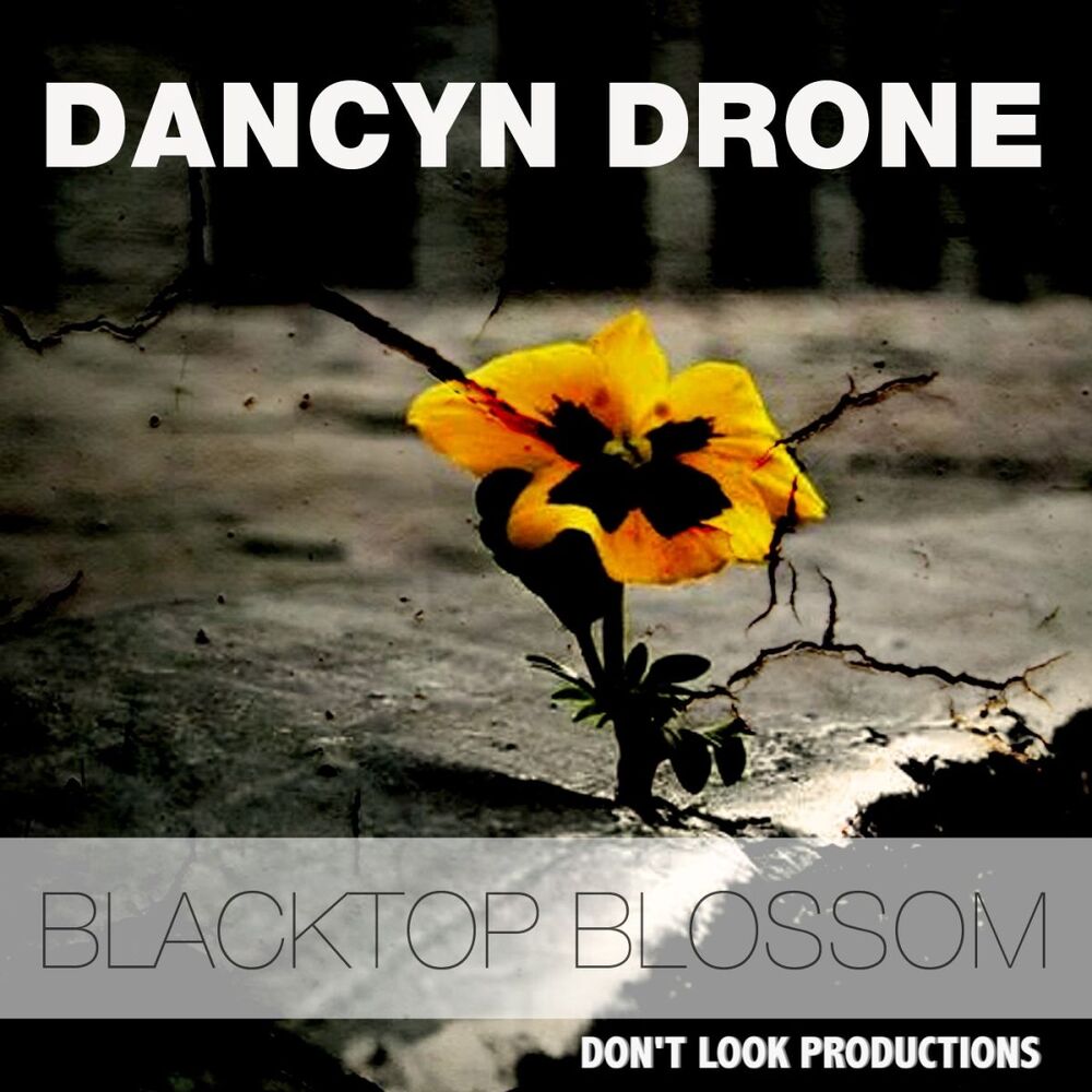 Picture of Blacktop Blossom