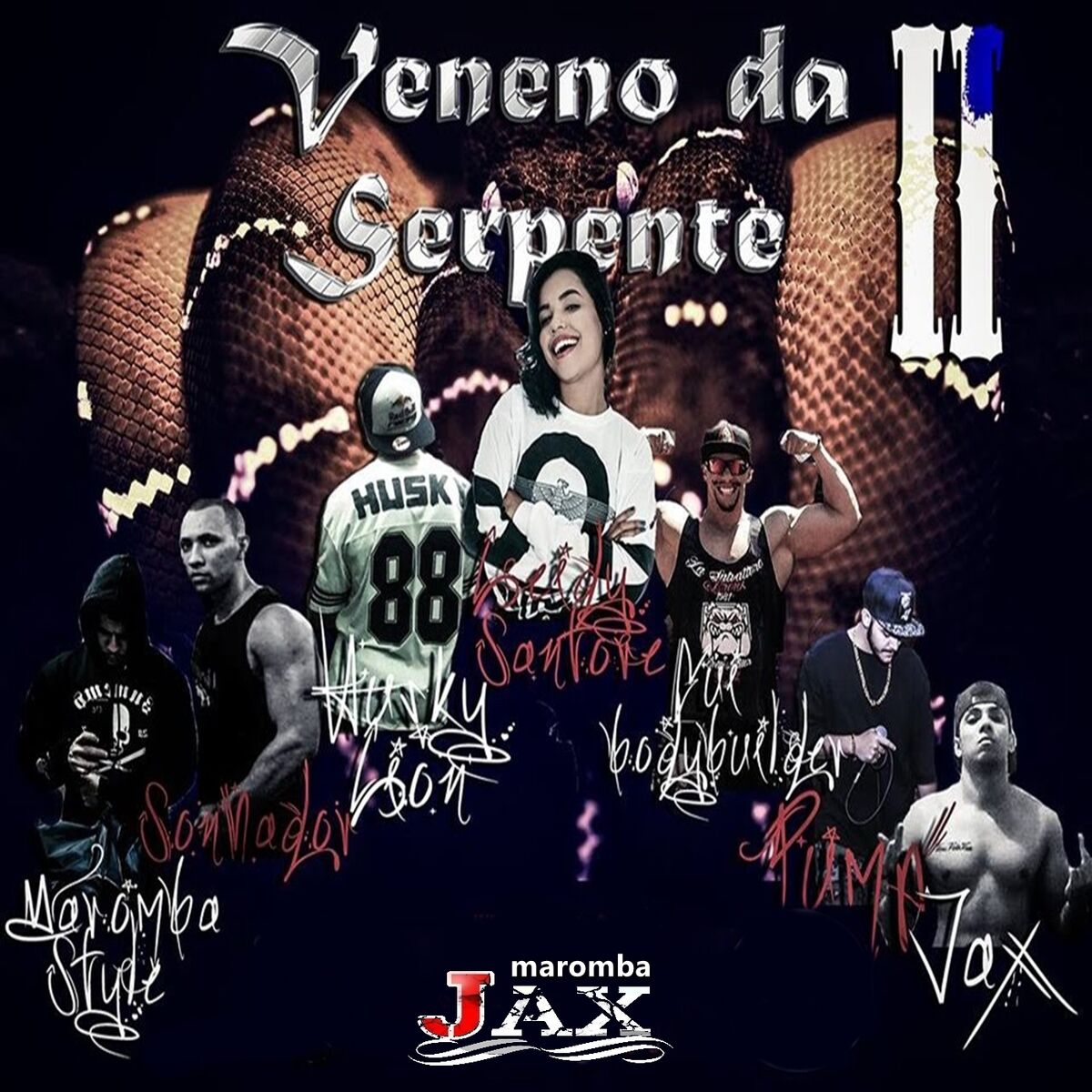 Album cover of Veneno da Serpente II