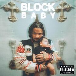 Cover of Block Baby