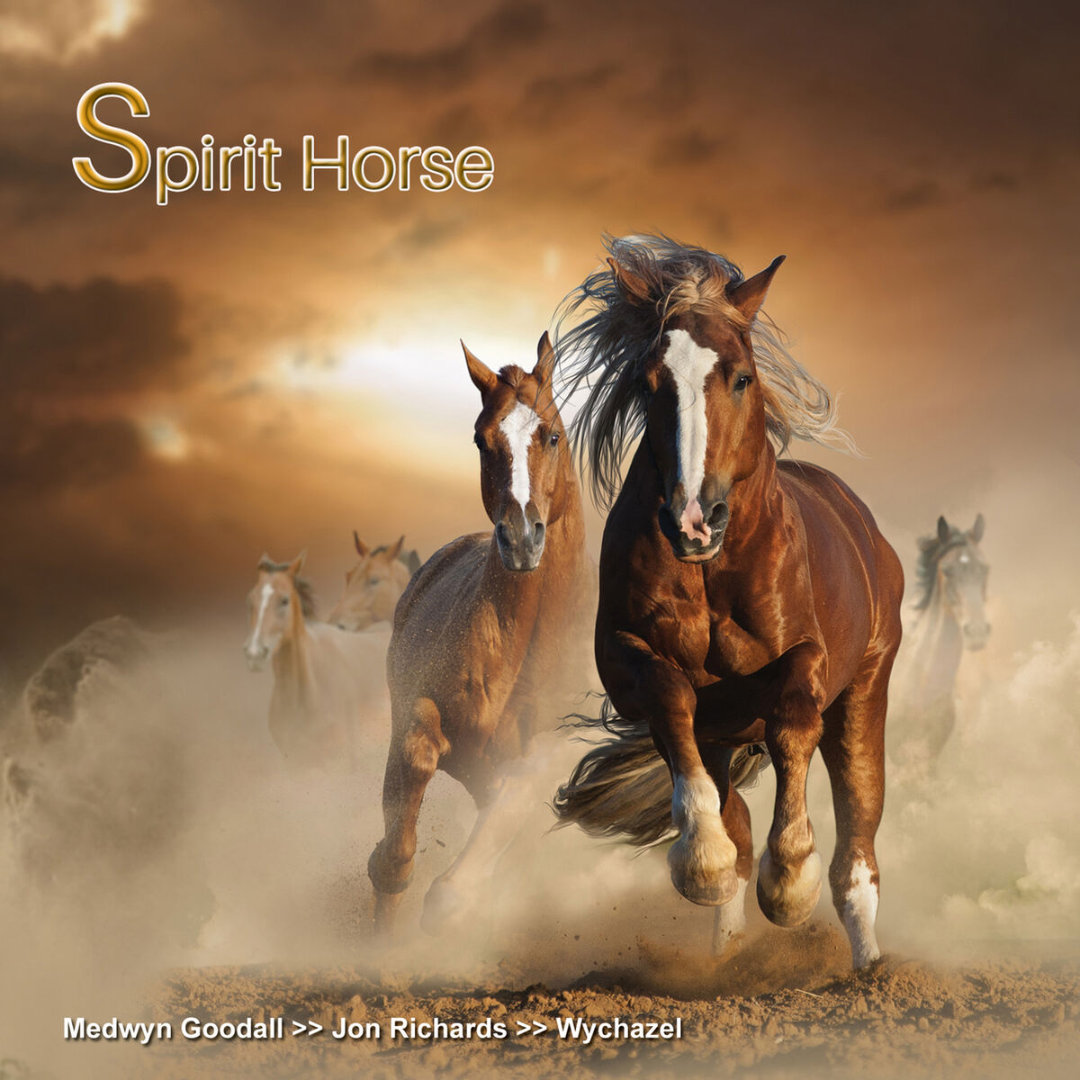 Album cover of Spirit Horse