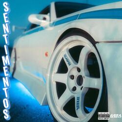 Cover of Sentimentos