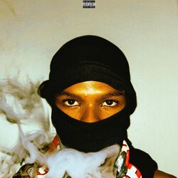 Cover of BETTER LATE THAN NEVER