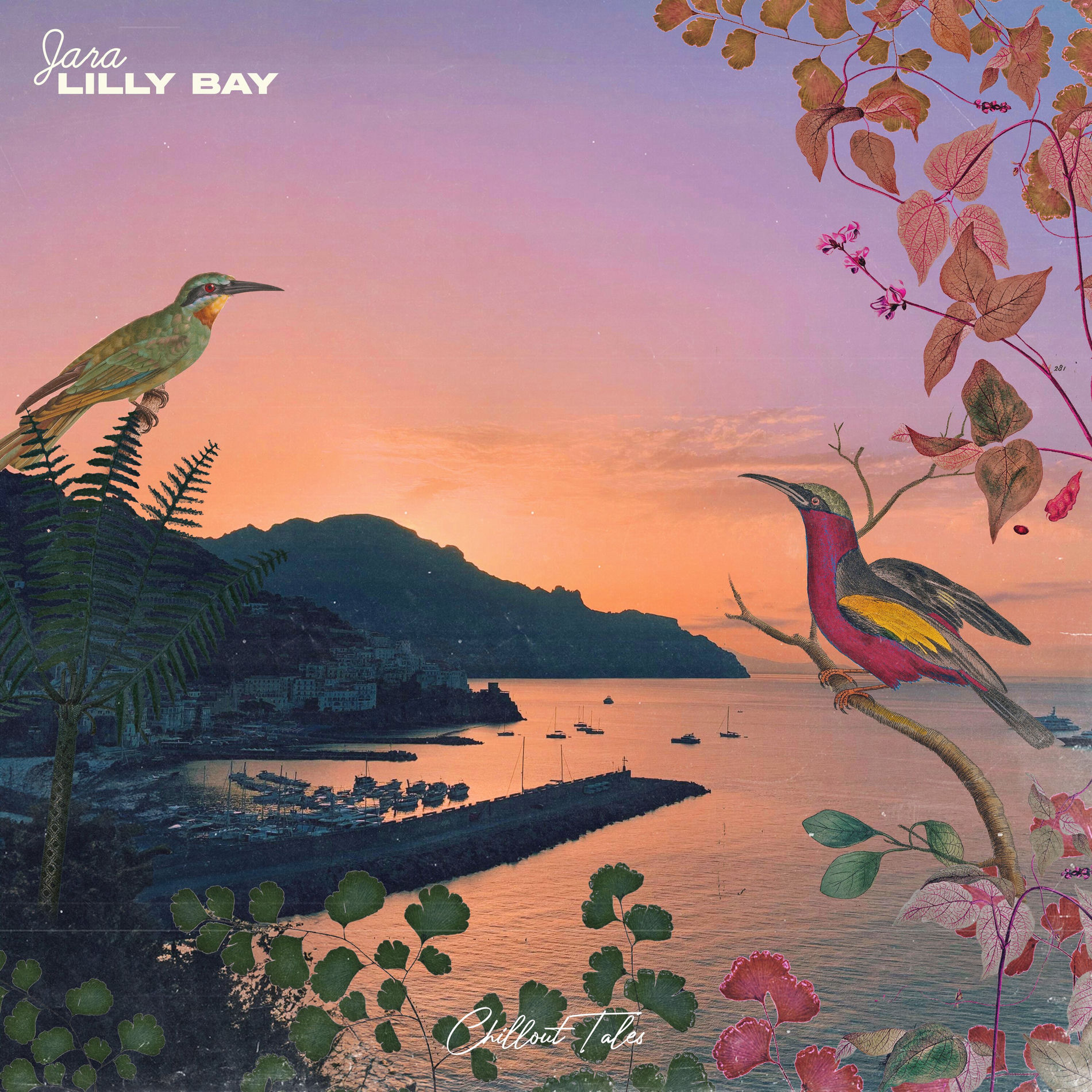 Album cover of Jara