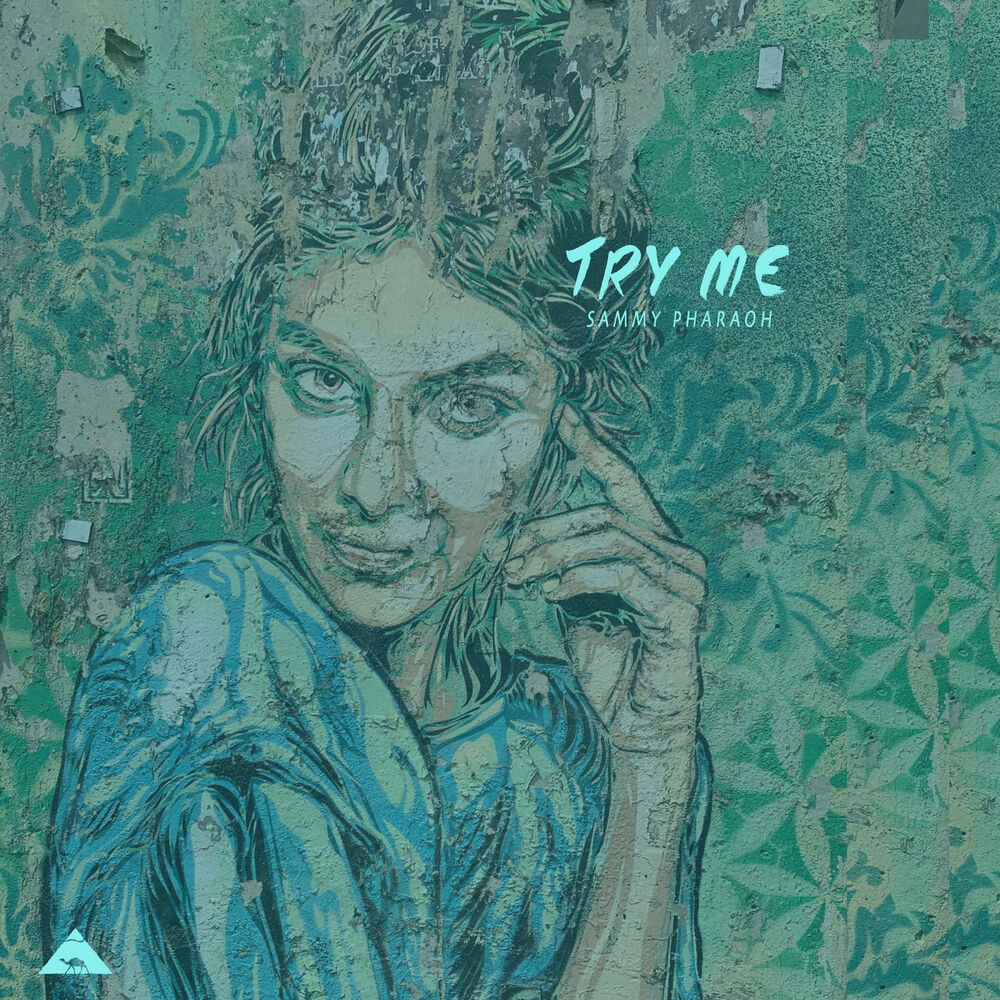 Picture of Try Me
