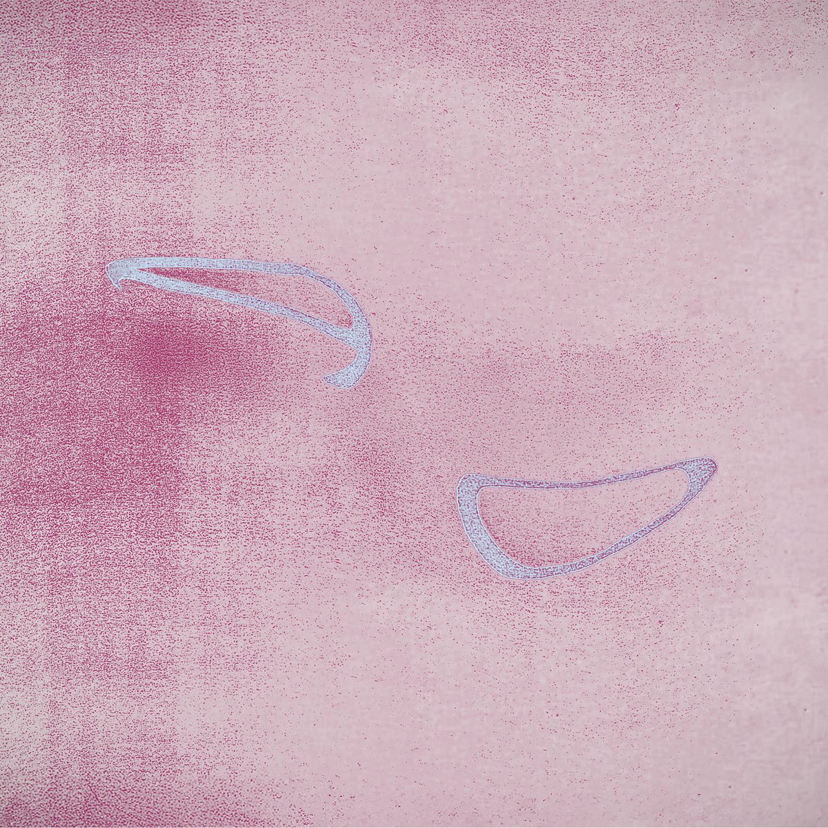 Album cover of taro