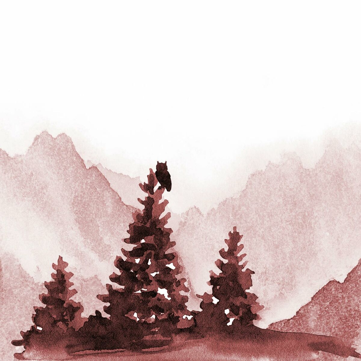 Album cover of cover to cover