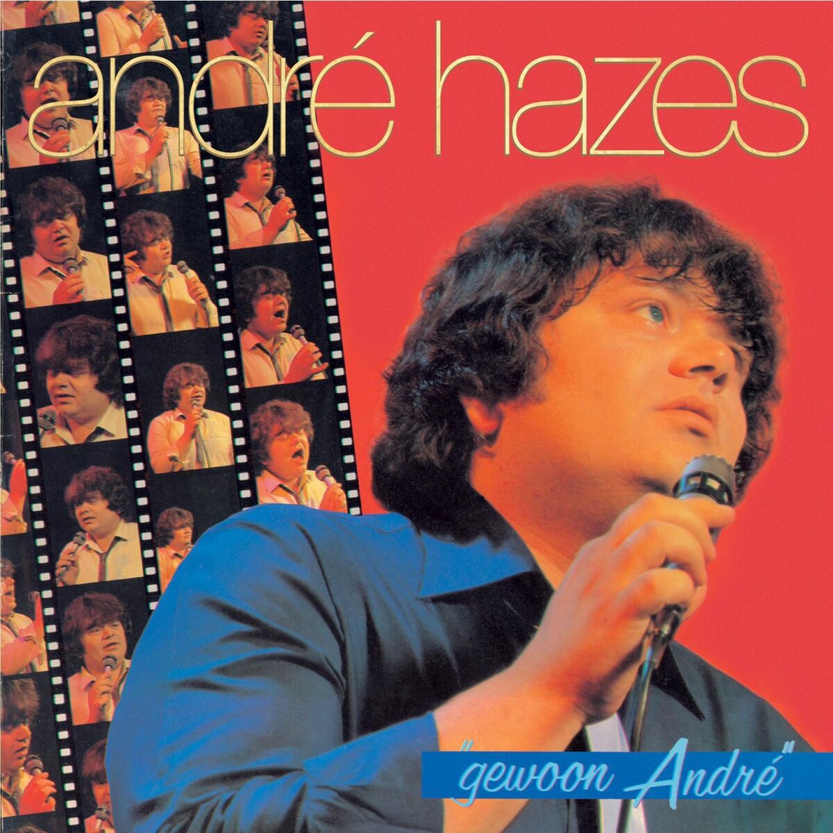 Album cover of Gewoon Andre