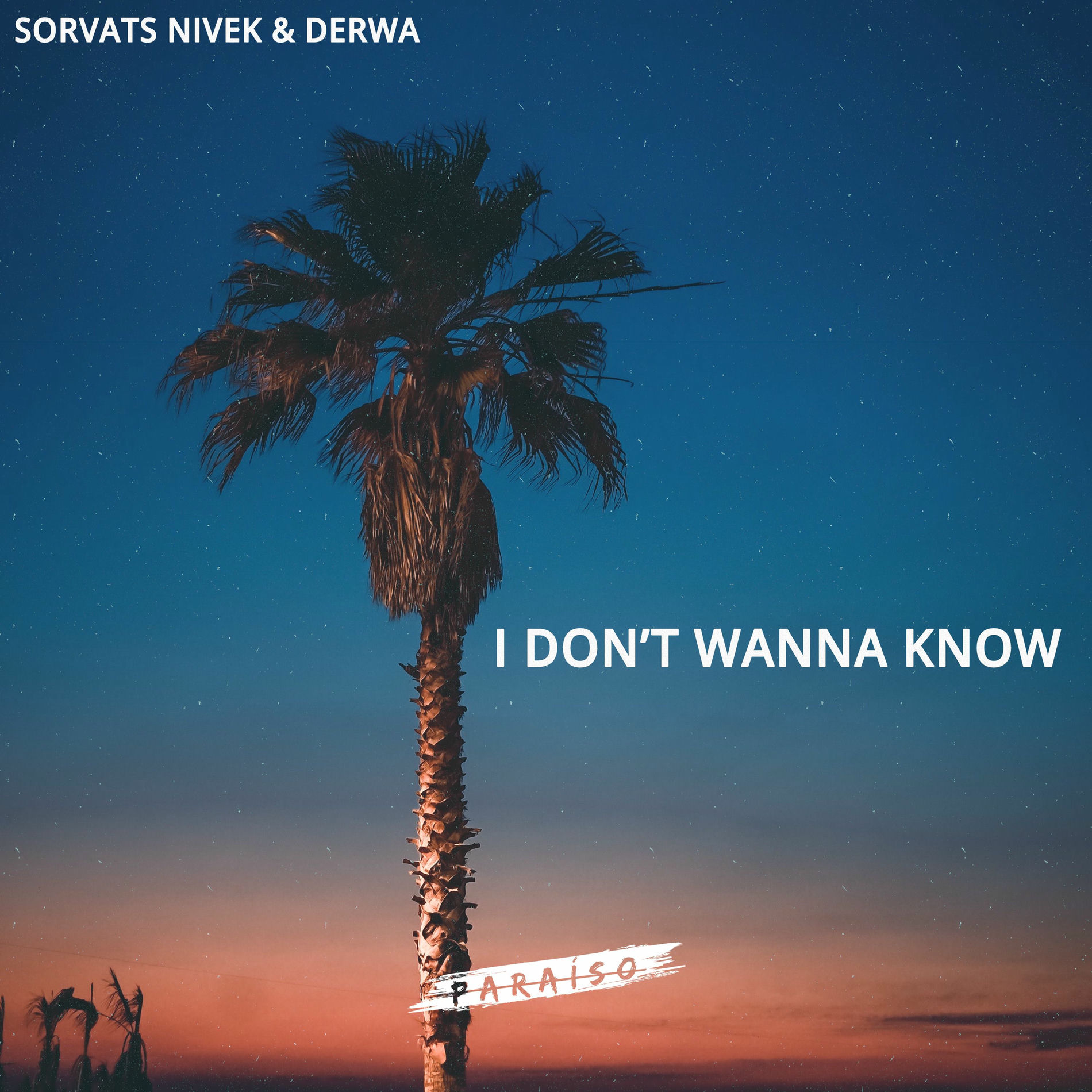 Album cover of I Don't Wanna Know