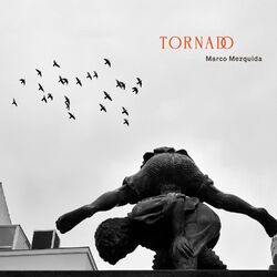 Cover of Tornado