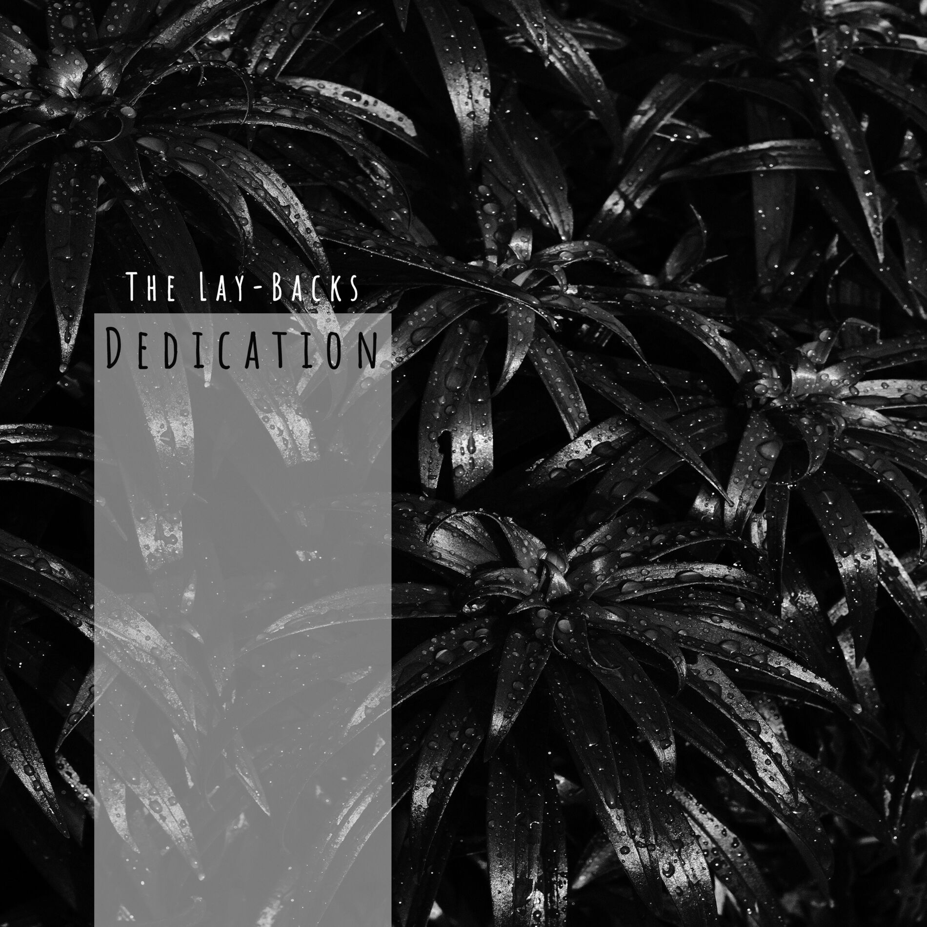 Album cover of Dedication