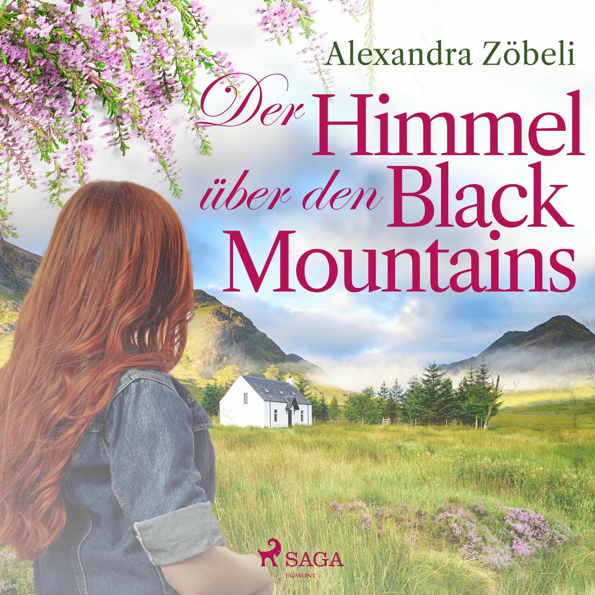 Album cover of Der Himmel über den Black Mountains (Ungekürzt)