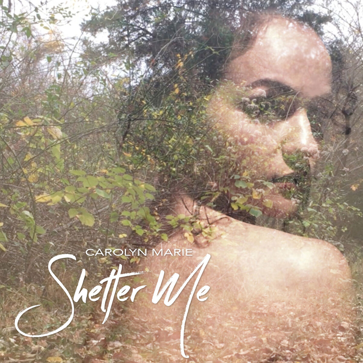 Album cover of Shelter Me