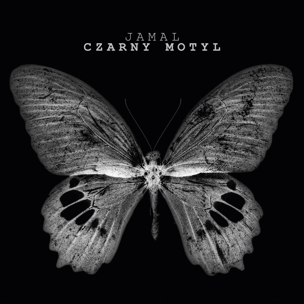 Picture of Czarny motyl