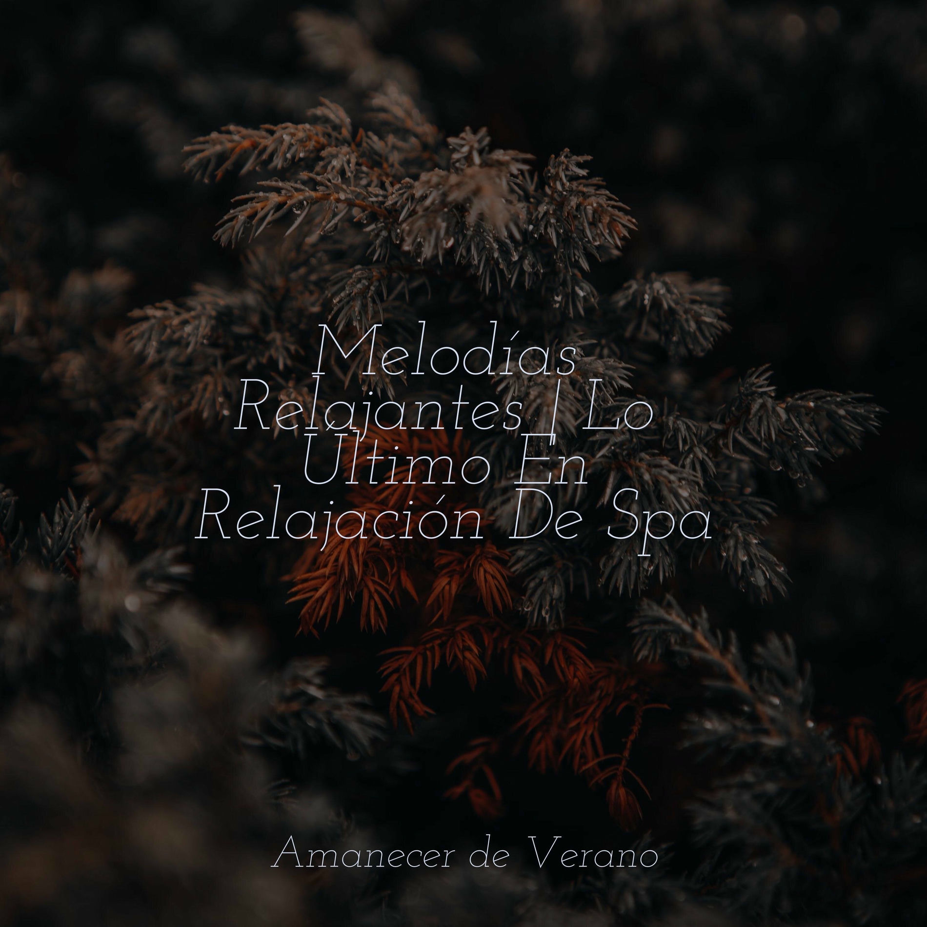 Album cover of Melodías Relajantes | Lo Último En Relajación De Spa