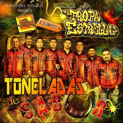 Cover of Toneladas De Sabor