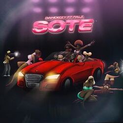 Cover of Sote