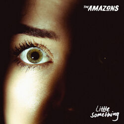 Cover of Little Something