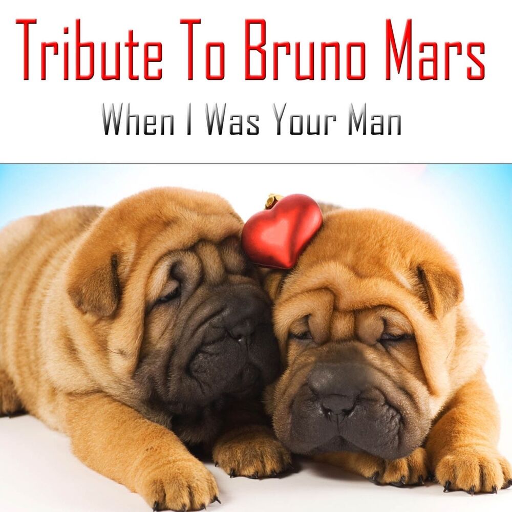 Picture of When I Was Your Man